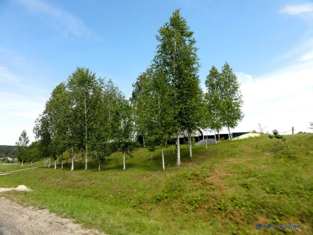 Лучка