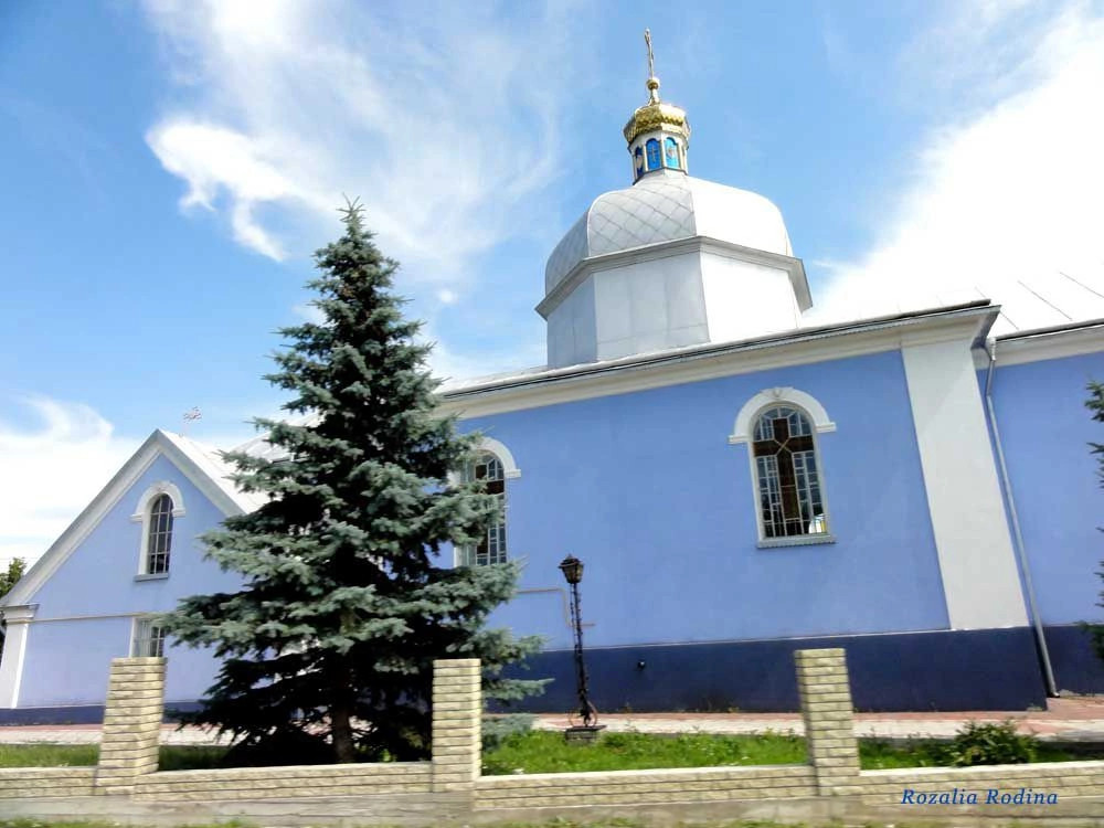 Мышковичи