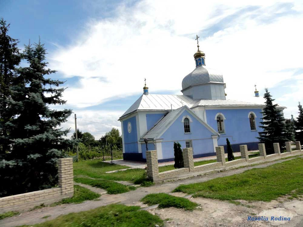 Мышковичи