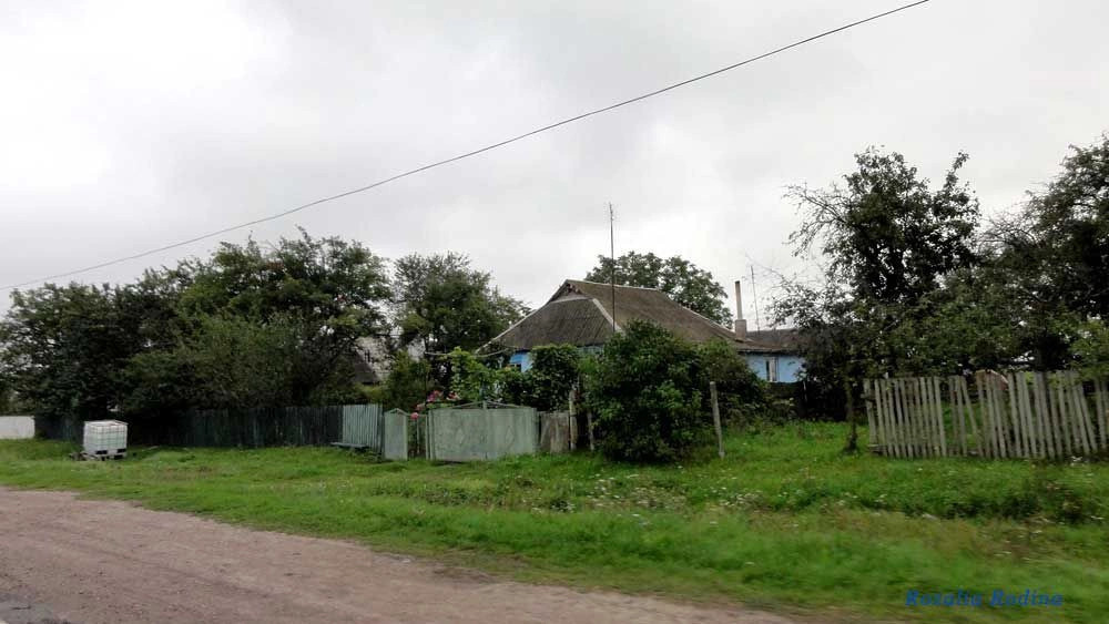 Волица (Андрушёвский р-н)
