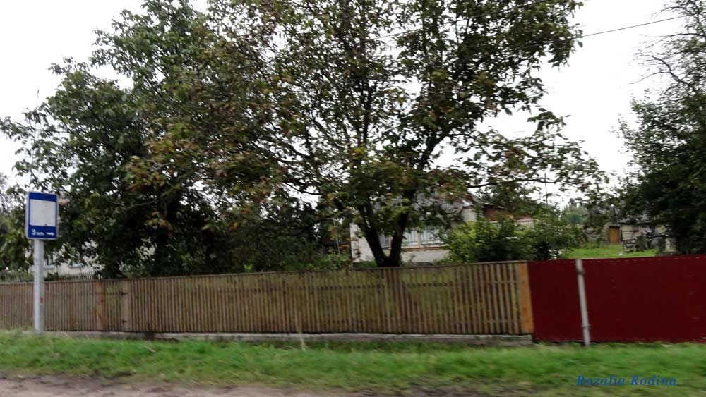 Волица (Андрушёвский р-н)