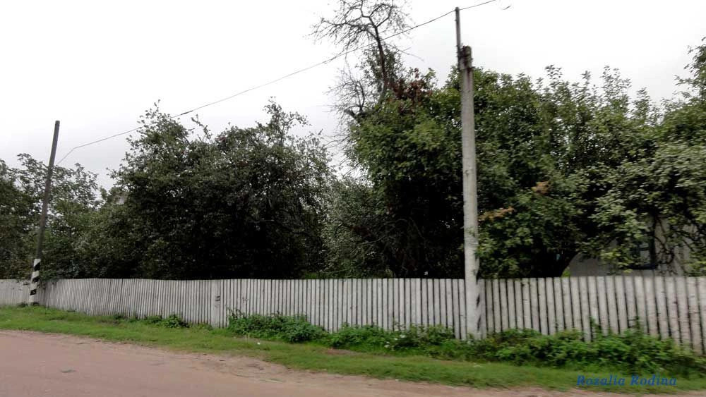 Волица (Андрушёвский р-н)