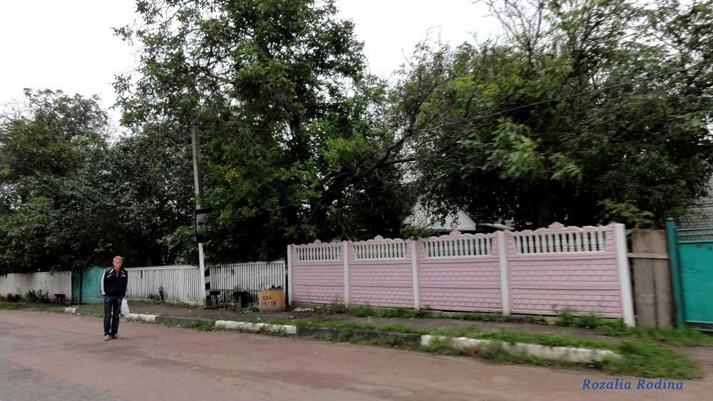 Волица (Андрушёвский р-н)