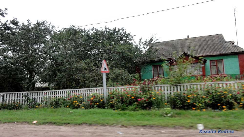 Волица (Андрушёвский р-н)