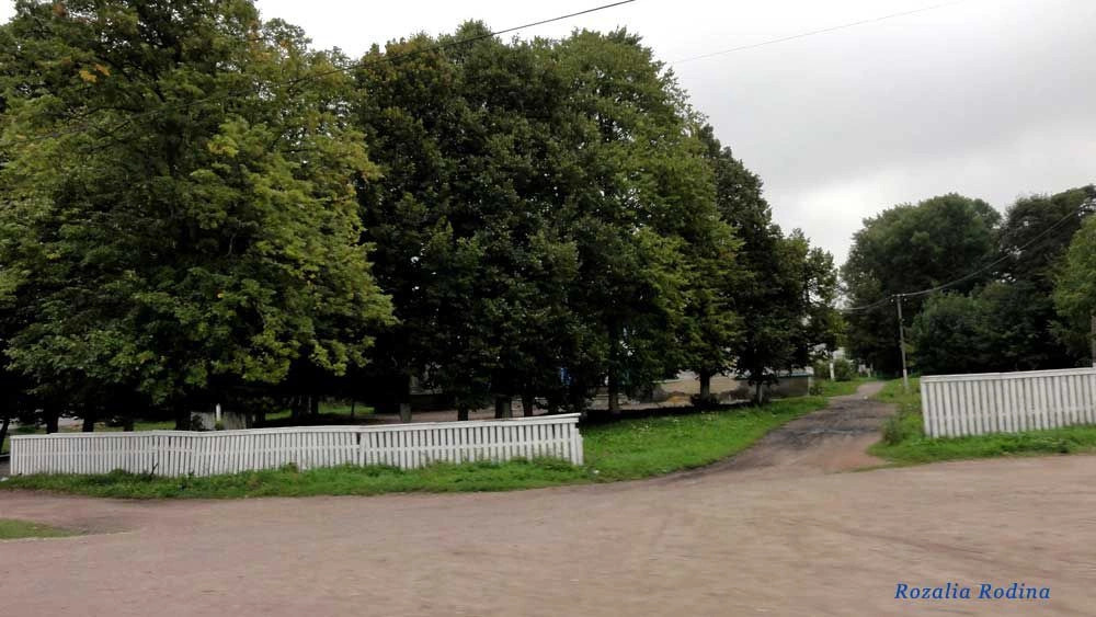 Волица (Андрушёвский р-н)