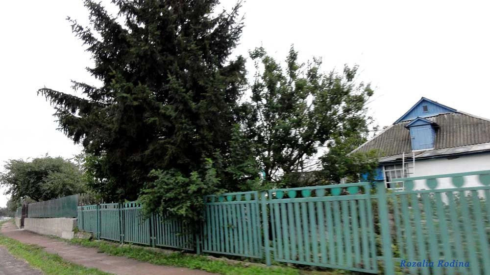 Волица (Андрушёвский р-н)