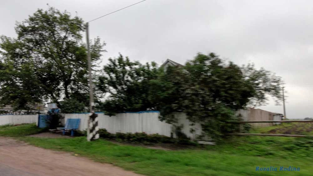 Волица (Андрушёвский р-н)