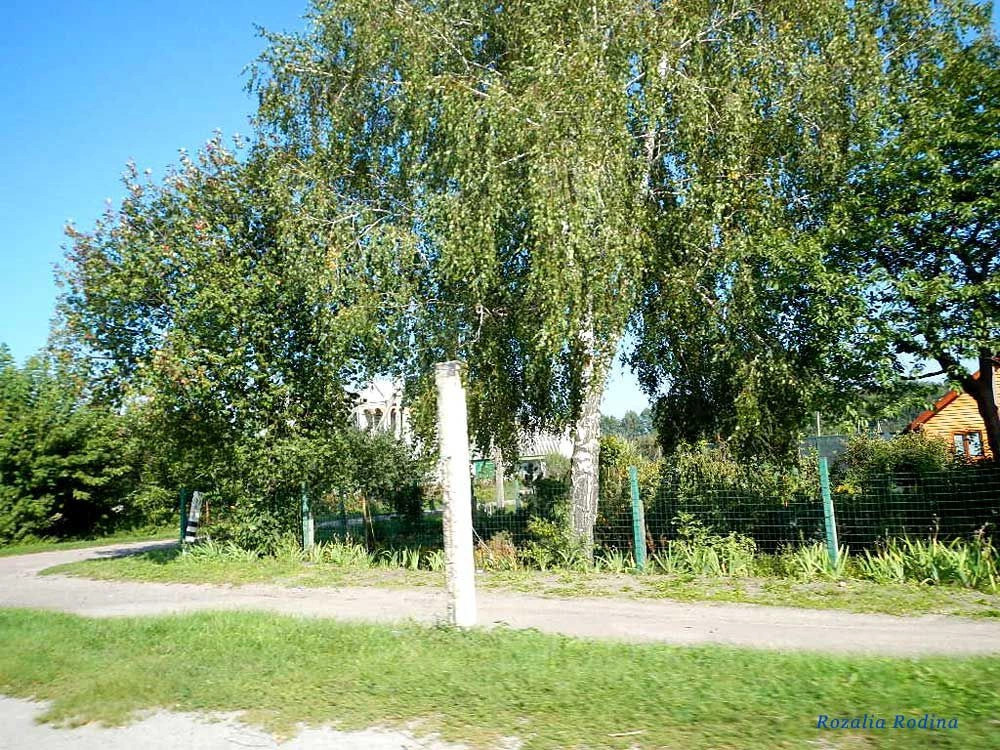Рея