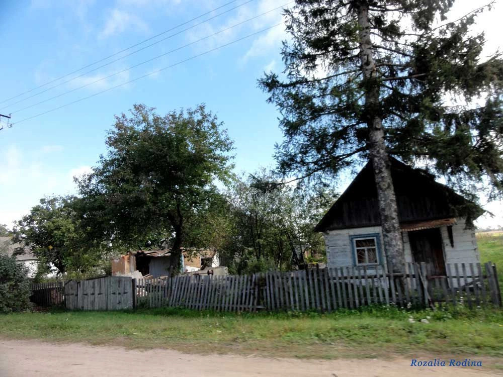 Топорище