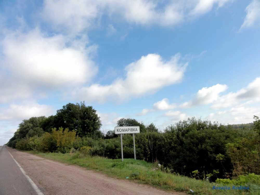 Комаровка (Володарско-Волынский р-н)
