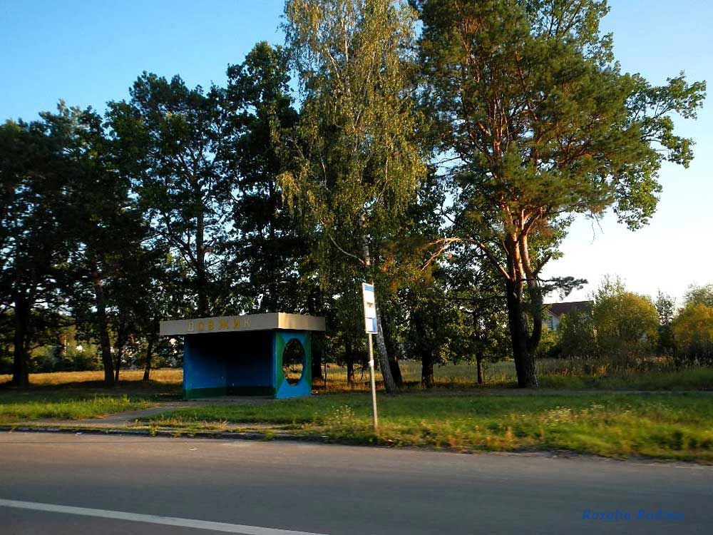Должик