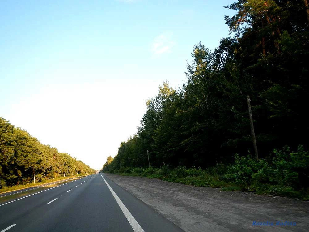 Должик