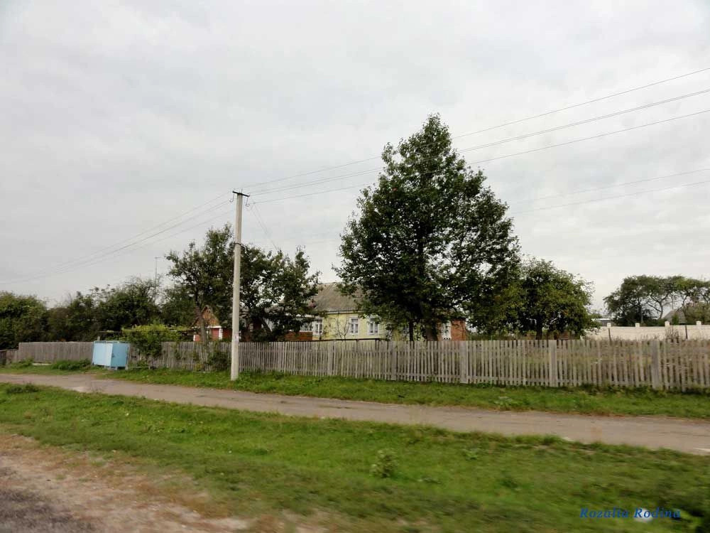 Перлявка