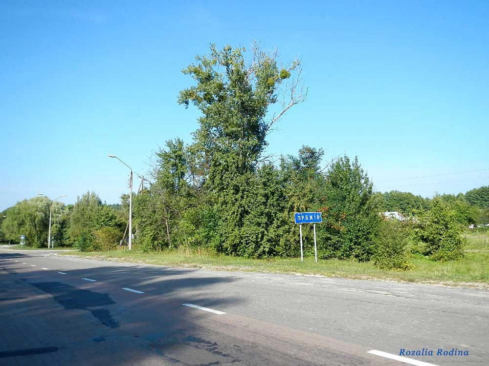 Пряжев