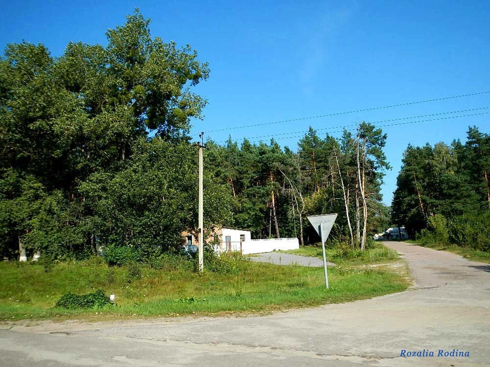 Пряжев