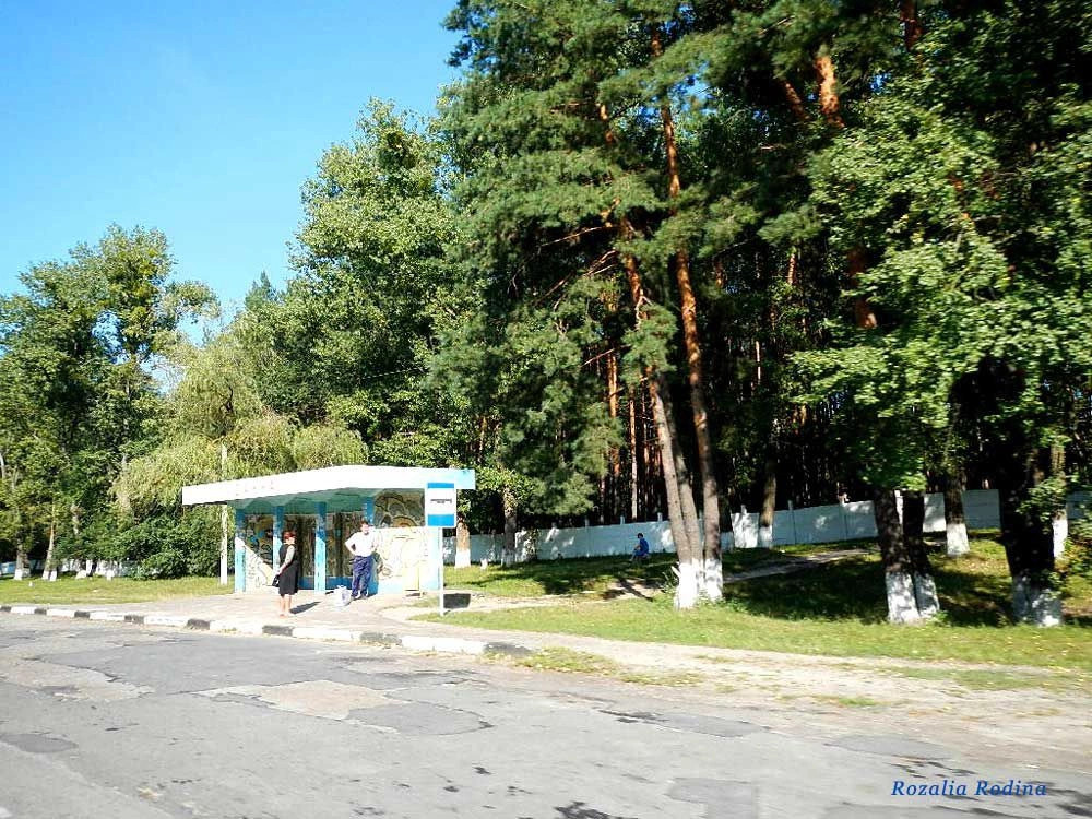 Пряжев