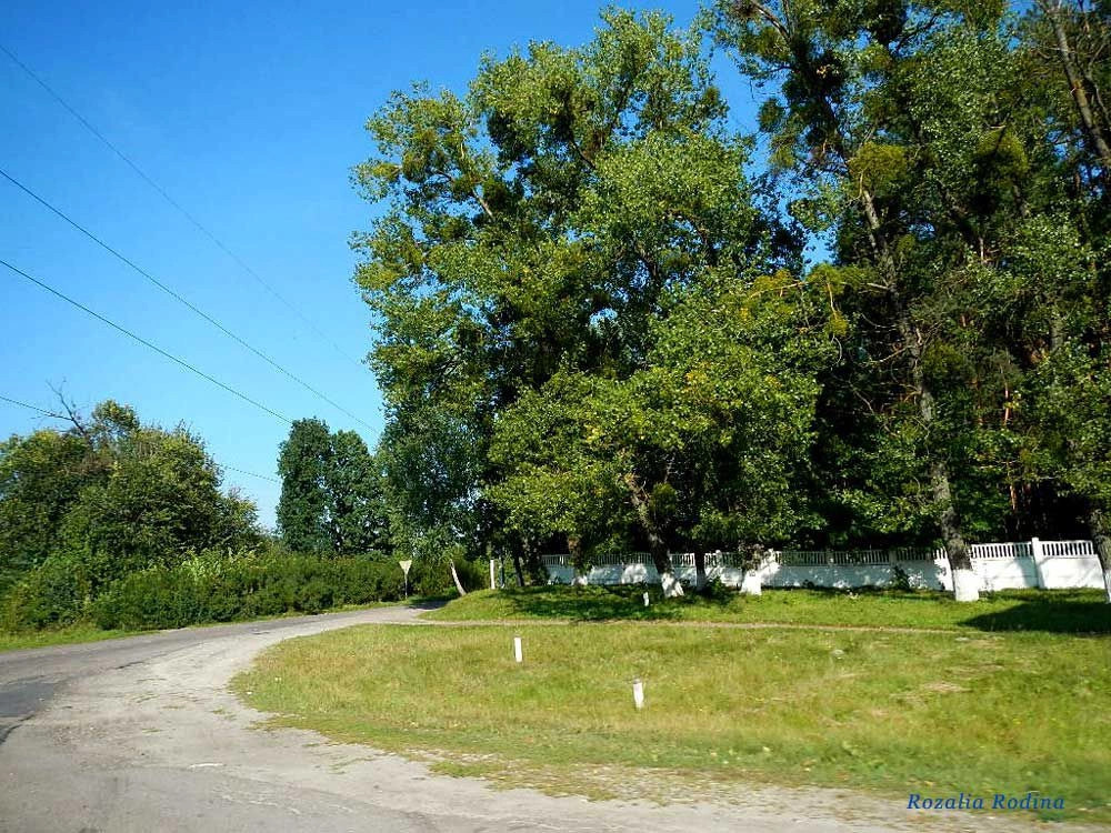 Пряжев