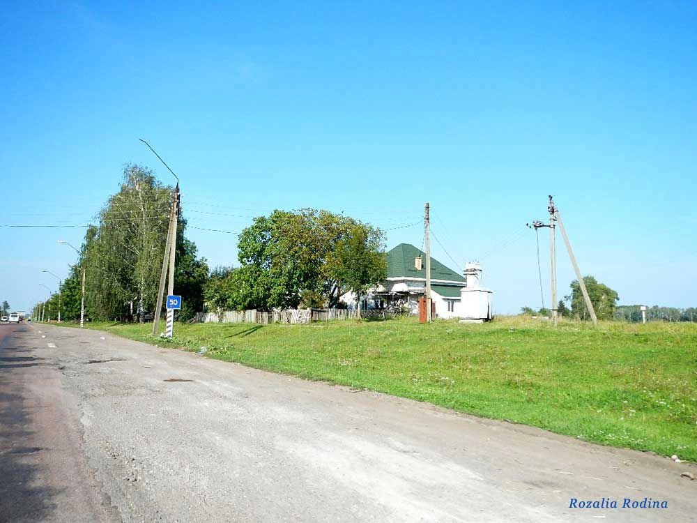 Сингуры