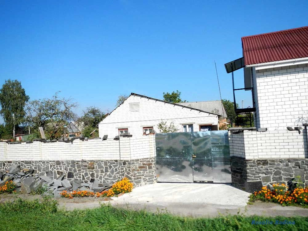 Сингуры