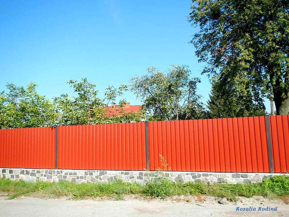 Сингуры