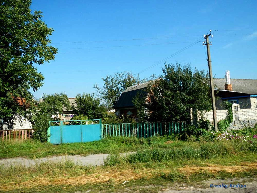 Сингуры