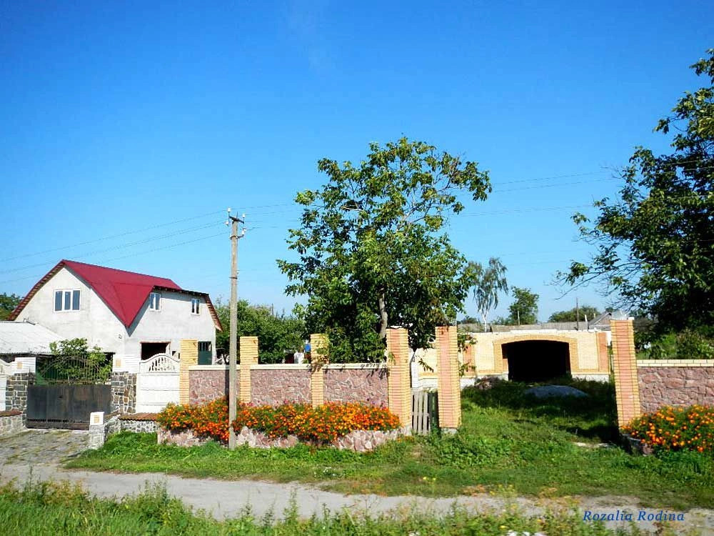 Сингуры