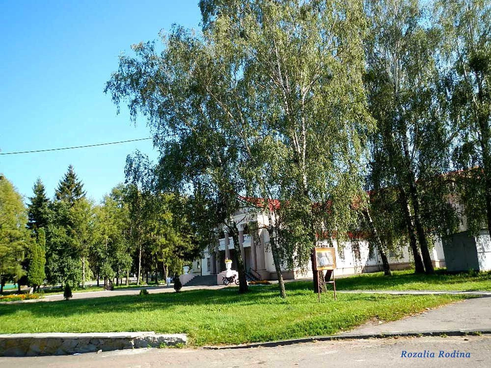Сингуры