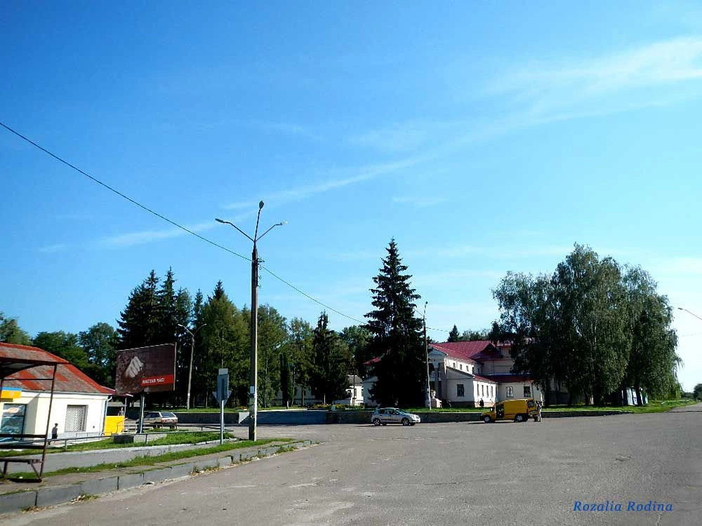 Сингуры