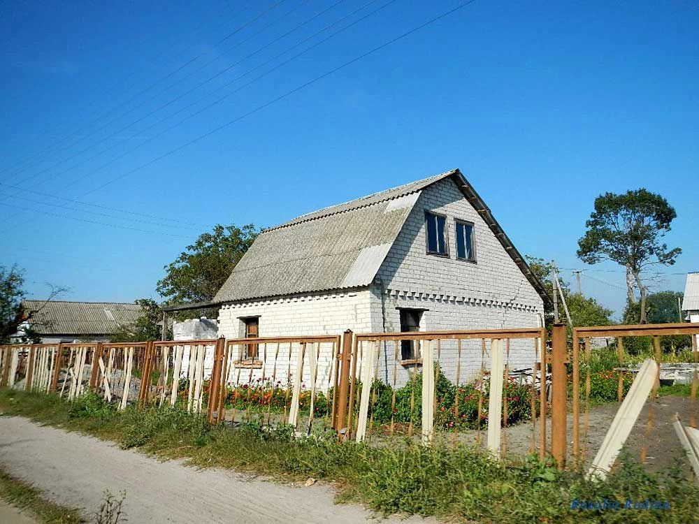 Сингуры