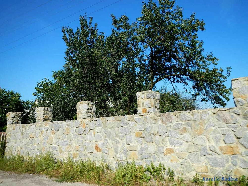 Сингуры