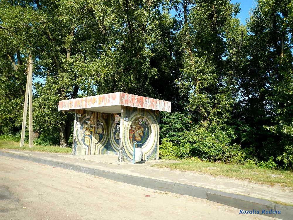 Сингуры