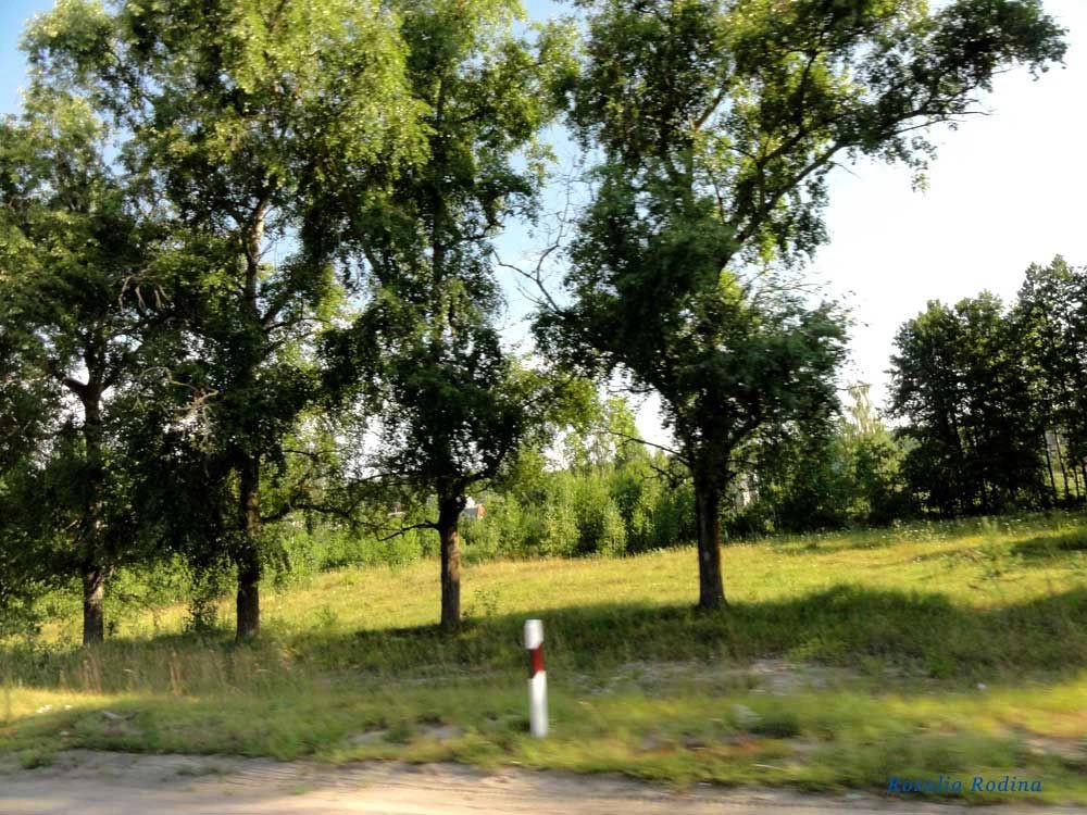 Березовка (Житомирский р-н)
