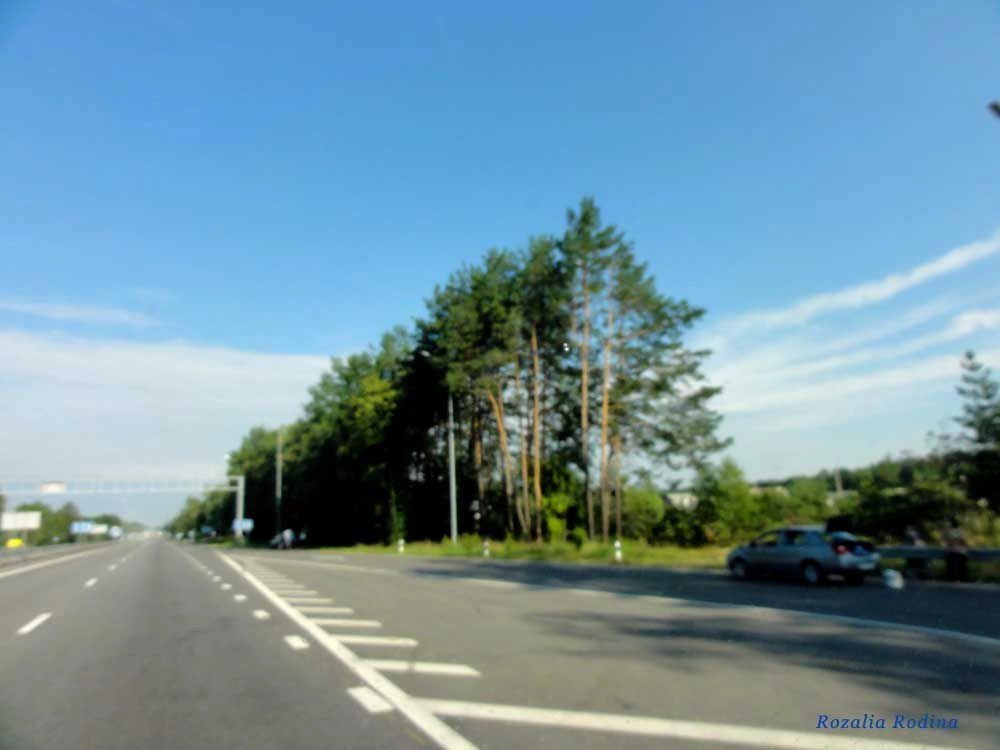 Березовка (Житомирский р-н)