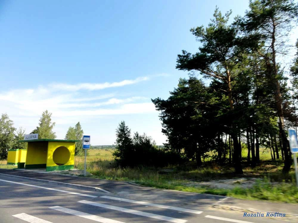 Болярка (Житомирский р-н)