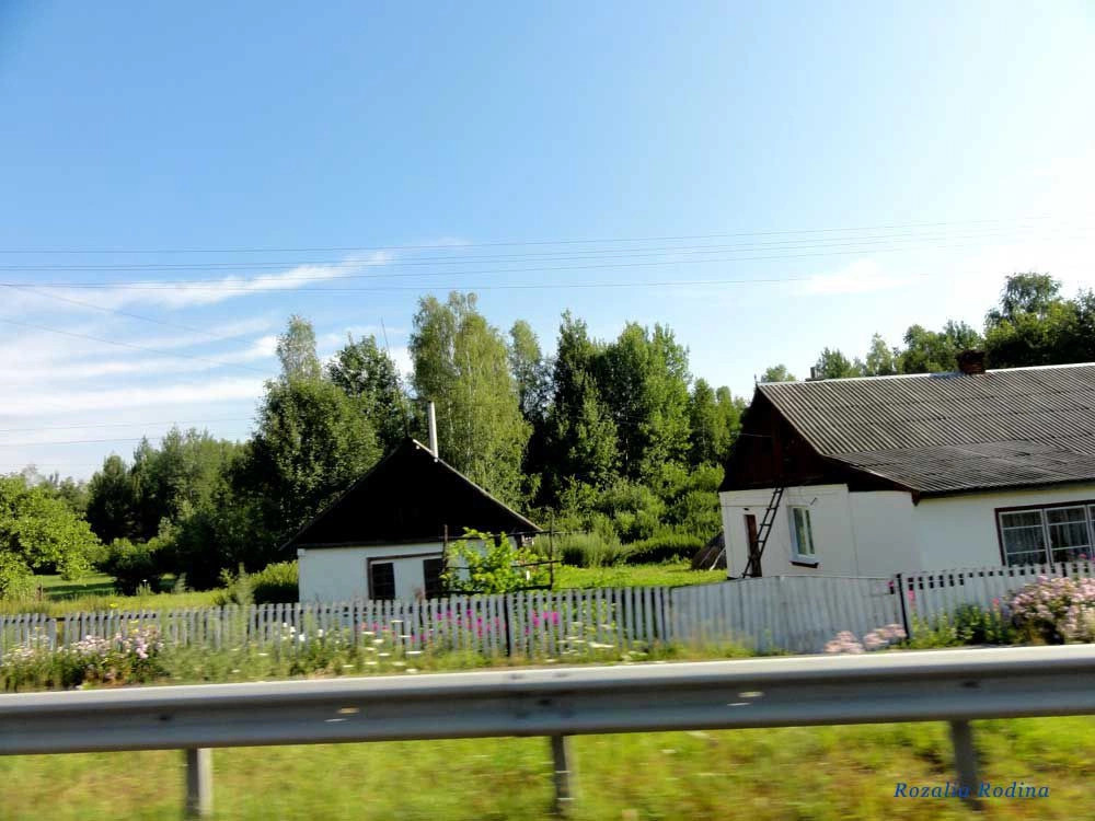 Василевка