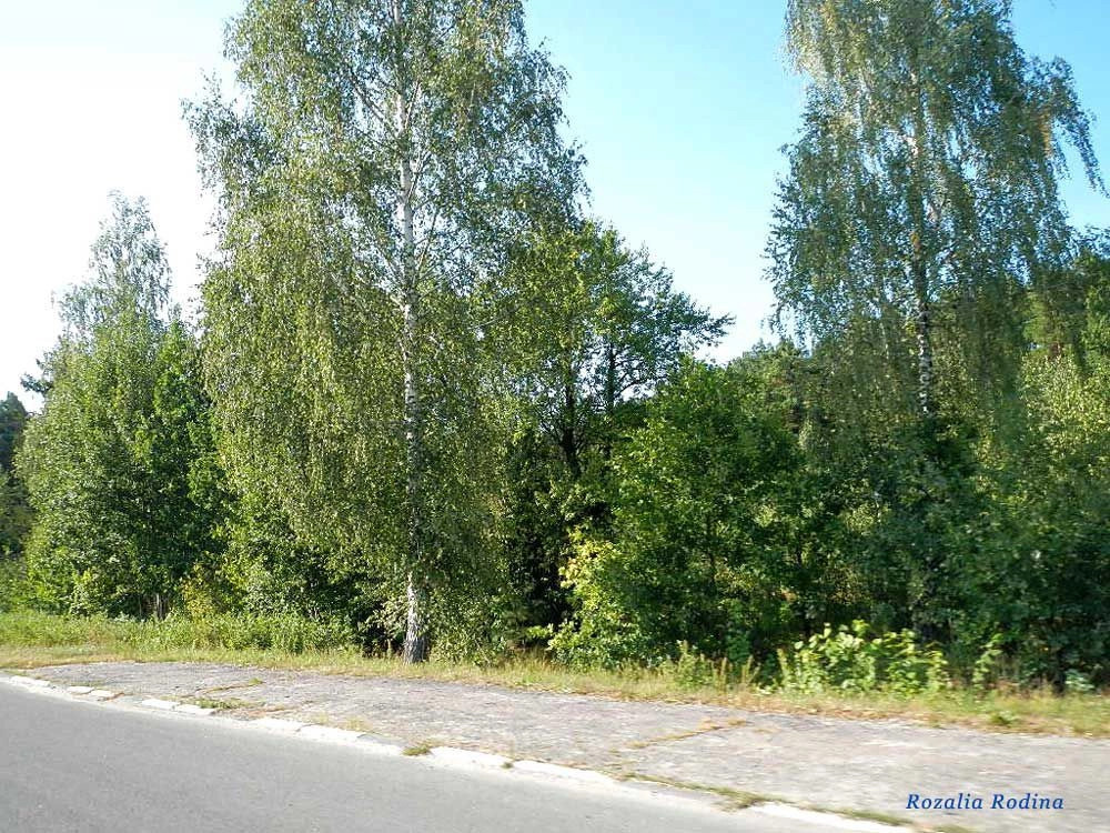 Ивановка (Житомирский р-н)