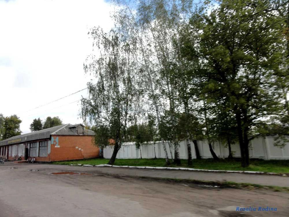 Бехи