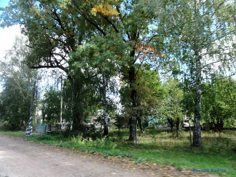 Васьковичи