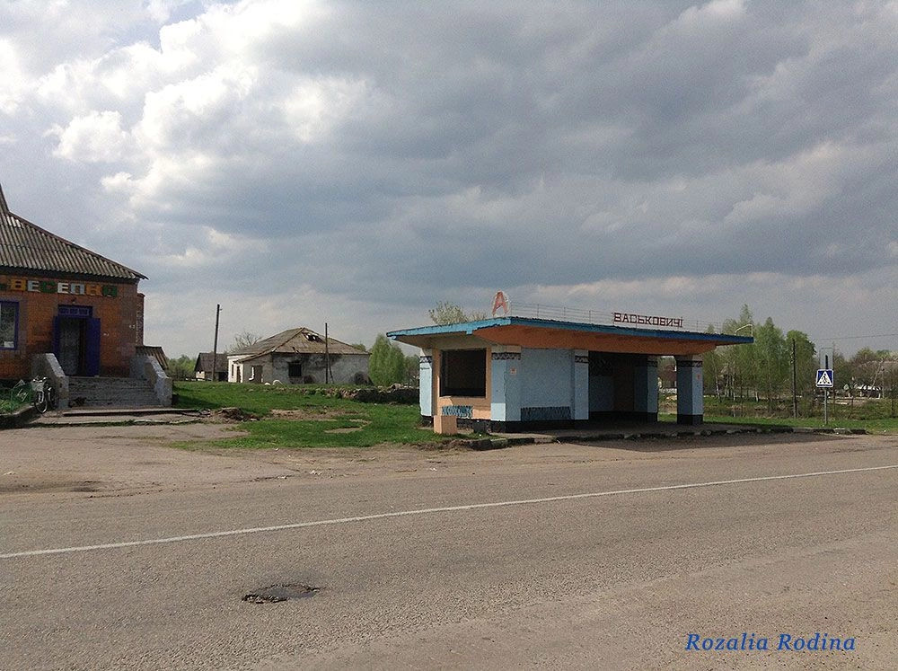 Васьковичи