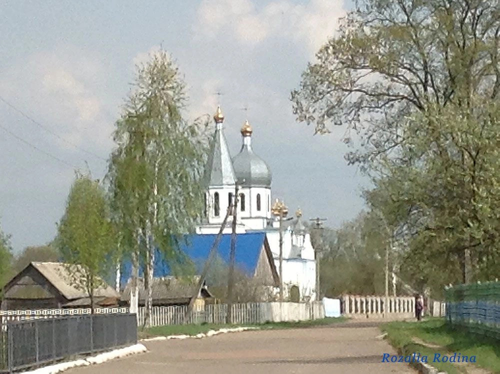 Васьковичи
