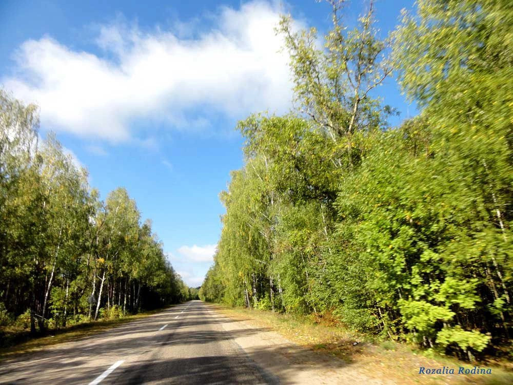Рудня (Новинский сельсовет)
