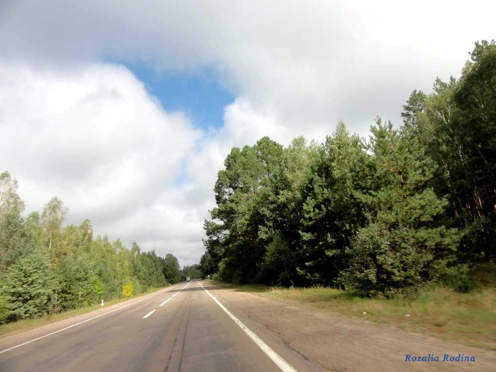 Щорсовка