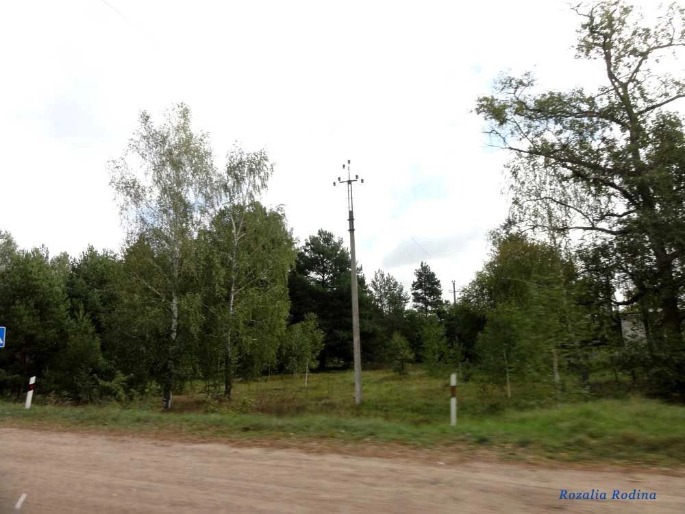 Щорсовка