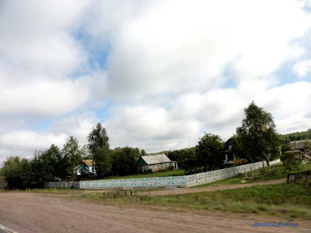 Веселовка (Коростенский р-н)