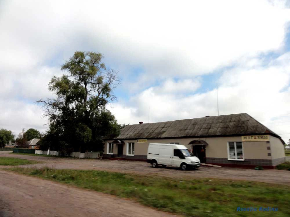 Веселовка (Коростенский р-н)