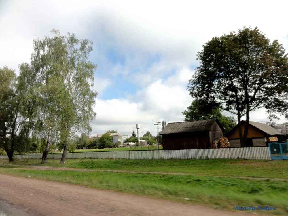 Веселовка (Коростенский р-н)