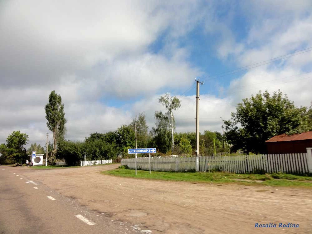 Веселовка (Коростенский р-н)