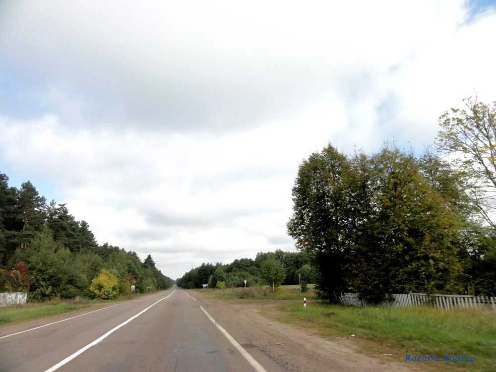 Веселовка (Коростенский р-н)