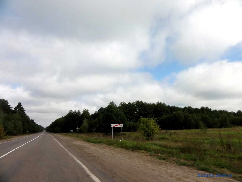 Веселовка (Коростенский р-н)