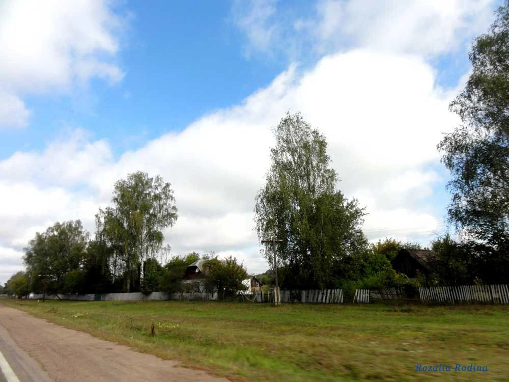 Лесовщина (Коростенский р-н)